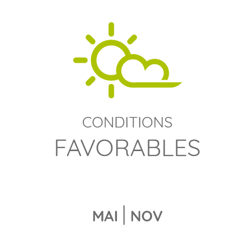 nous vous conseillons de partir en Mai et novembre aux Antilles, les conditions restant favorable.