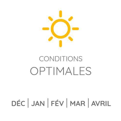 Partez dans des conditons optimales aux Antilles: Décembre, Janvier, Mars et Avril