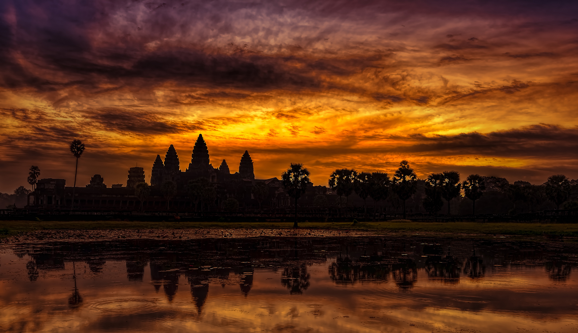 Temples d'Ankhor - photographie-Salva Kumaran Annamalai