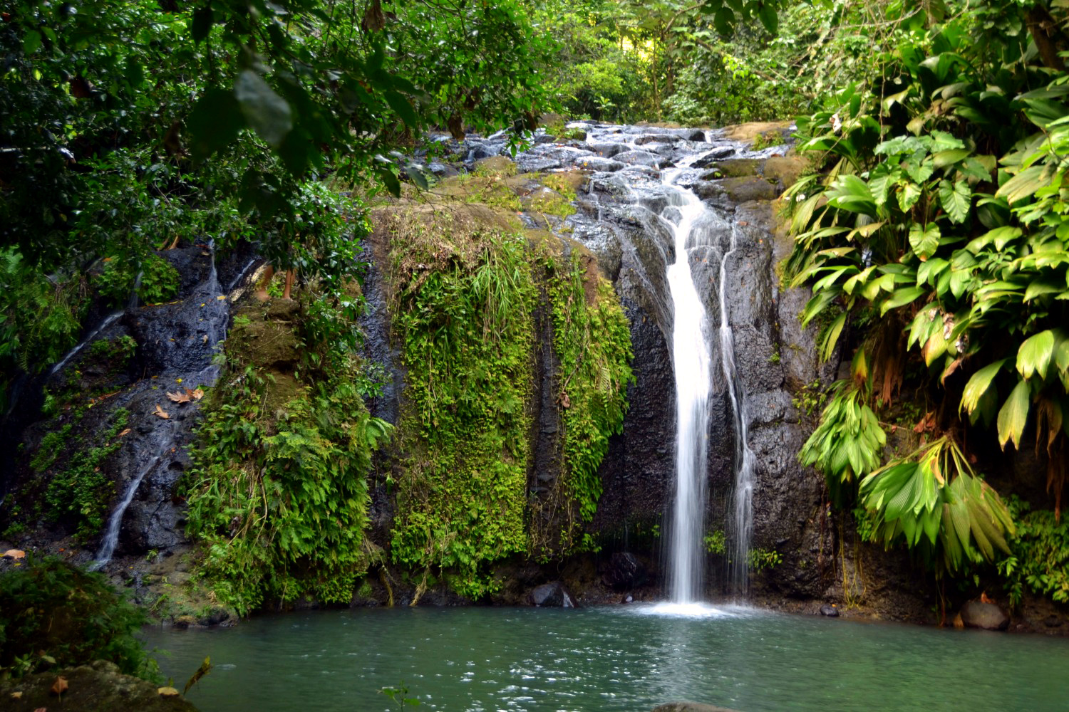 Inspiration Guadeloupe by Eden Mag (nature, cascade, forêt tropicale, randonnée)