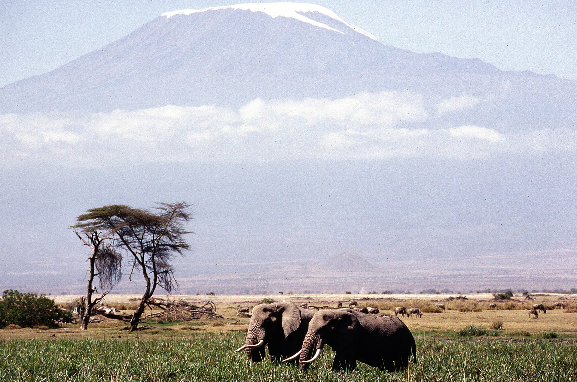 Le Kilimandjaro, plus haut somment de Tanzanie